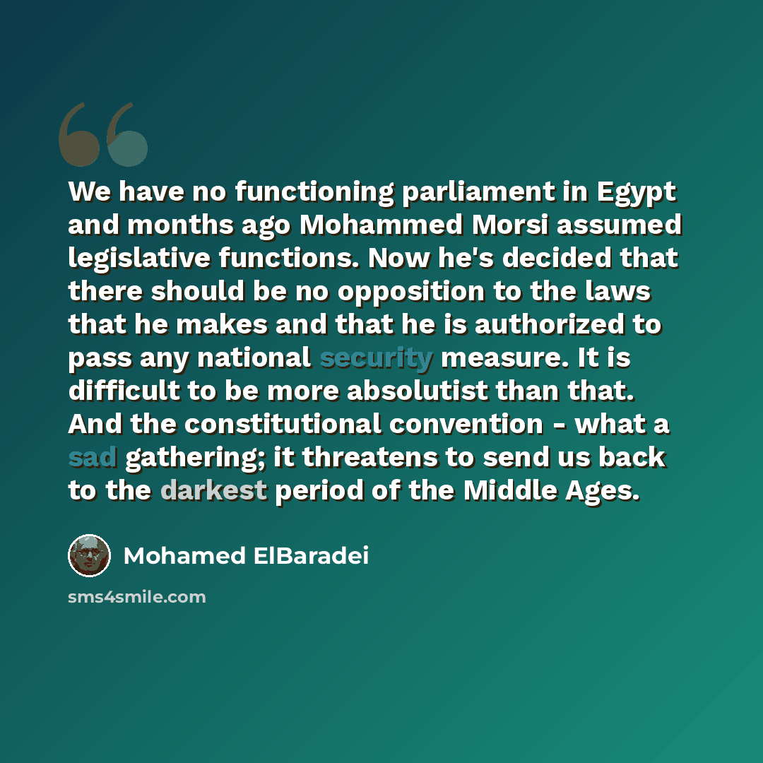 “We have no functioning parliament in Egypt and months ago Mohammed Morsi assumed legislative functions. Now he's decided that there should be no opposition to the laws that he makes and that he is authorized to pass any national security measure. It is difficult to be more absolutist than that…” quote by Mohamed ElBaradei