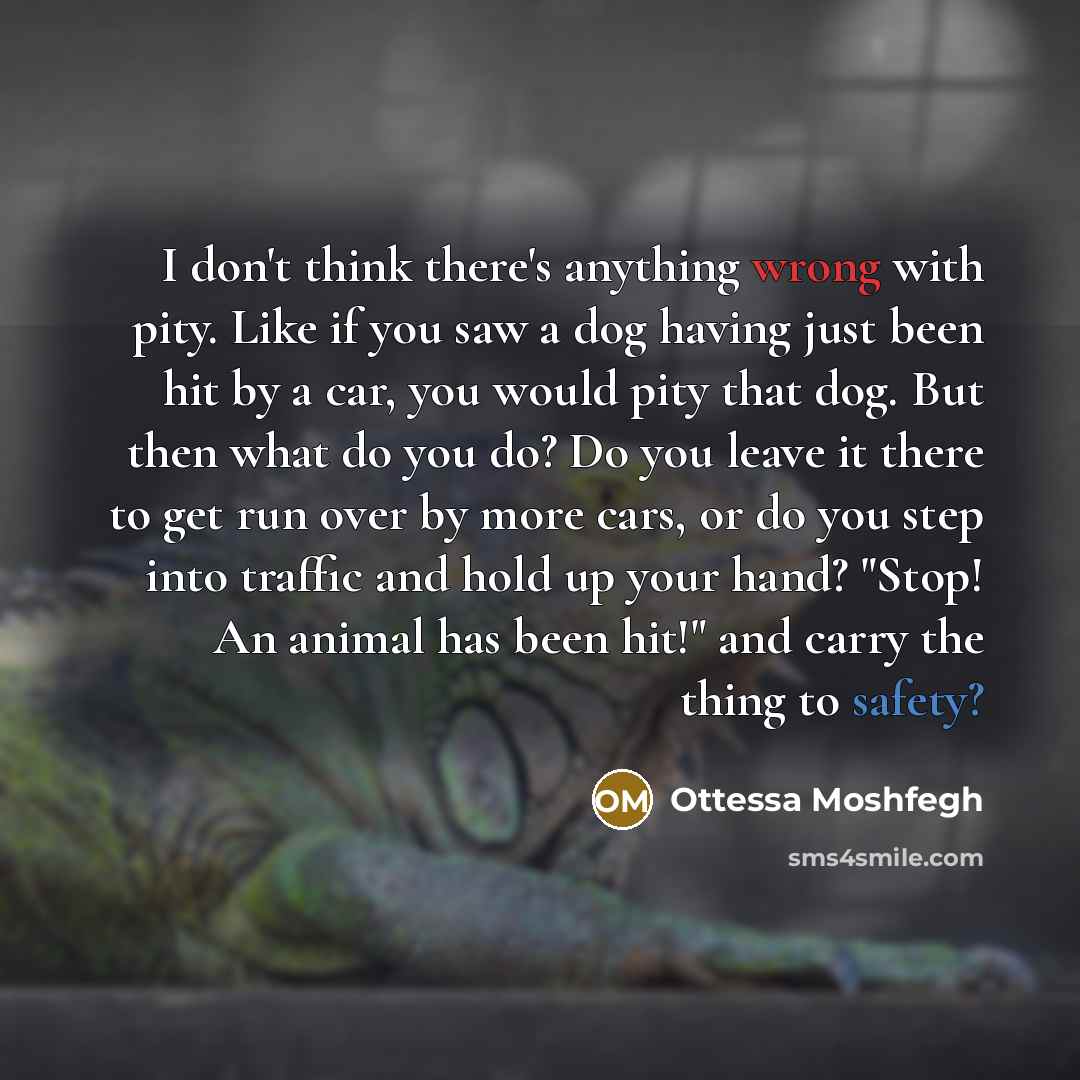 “I don't think there's anything wrong with pity. Like if you saw a dog having just been hit by a car, you would pity that dog. But then what do you do? Do you leave it there to get run over by more cars, or do you step into traffic and hold up your hand? "Stop! An animal has been hit!" and carry…” quote by Ottessa Moshfegh