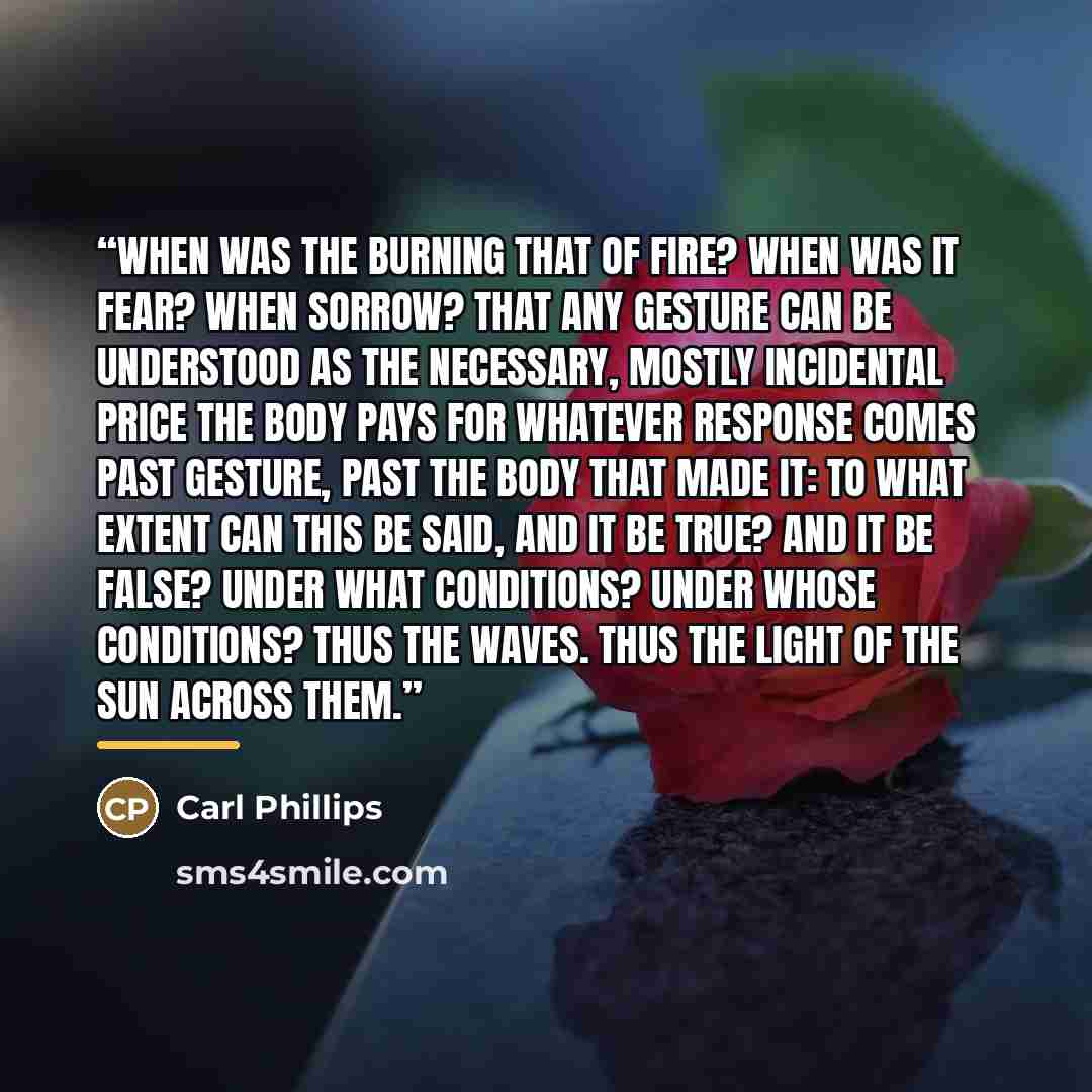 “When was the burning that of fire? When was it fear? When sorrow? That any gesture can be understood as the necessary, mostly incidental price the body pays for whatever response comes past gesture, past the body that made it: to what extent can this be said, and it be true? and it be false? Under…” quote by Carl Phillips