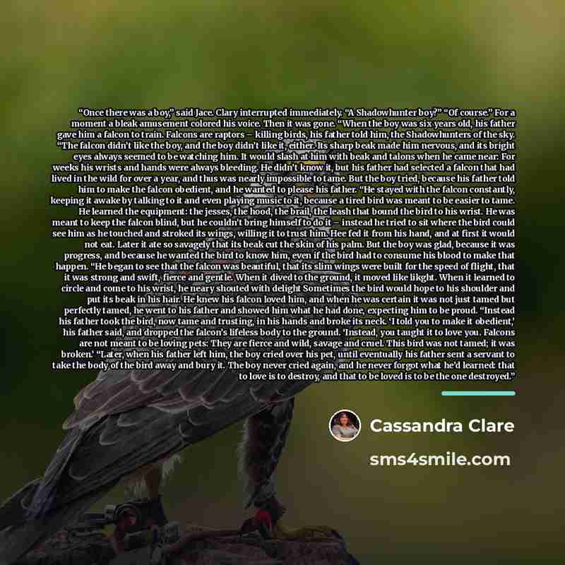 “Once there was a boy,” said Jace. Clary interrupted immediately. “A Shadowhunter boy?” “Of course.” For a moment a bleak amusement colored his voice. Then it was gone. “When the boy was six years old, his father gave him a falcon to train. Falcons are raptors – killing birds, his father told him…” quote by Cassandra Clare