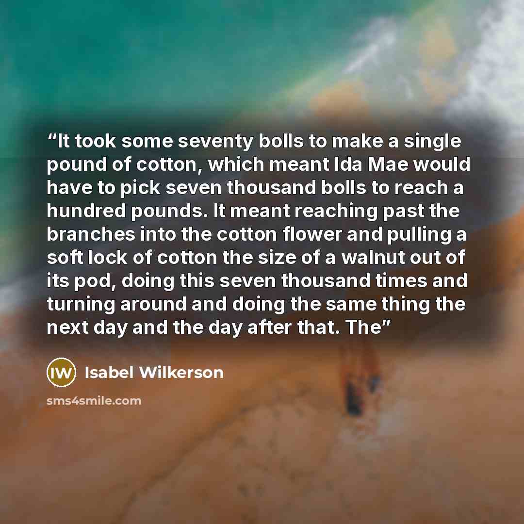 “It took some seventy bolls to make a single pound of cotton, which meant Ida Mae would have to pick seven thousand bolls to reach a hundred pounds. It meant reaching past the branches into the cotton flower and pulling a soft lock of cotton the size of a walnut out of its pod, doing this seven…” quote by Isabel Wilkerson