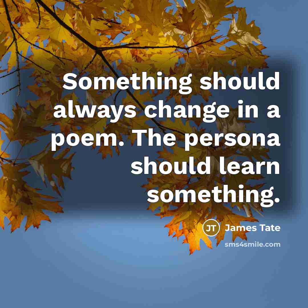 “Something should always change in a poem. The persona should learn something.” quote by James Tate
