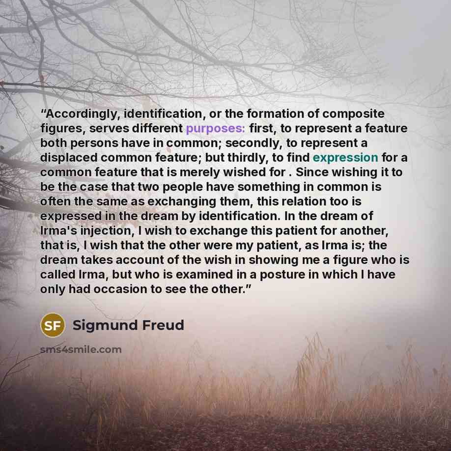 “Accordingly, identification, or the formation of composite figures, serves different purposes: first, to represent a feature both persons have in common; secondly, to represent a displaced common feature; but thirdly, to find expression for a common feature that is merely wished for . Since…” quote by Sigmund Freud