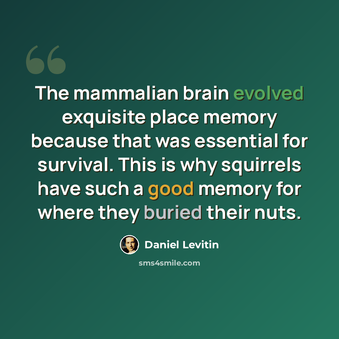 “The mammalian brain evolved exquisite place memory because that was essential for survival. This is why squirrels have such a good memory for where they buried their nuts.” quote by Daniel Levitin
