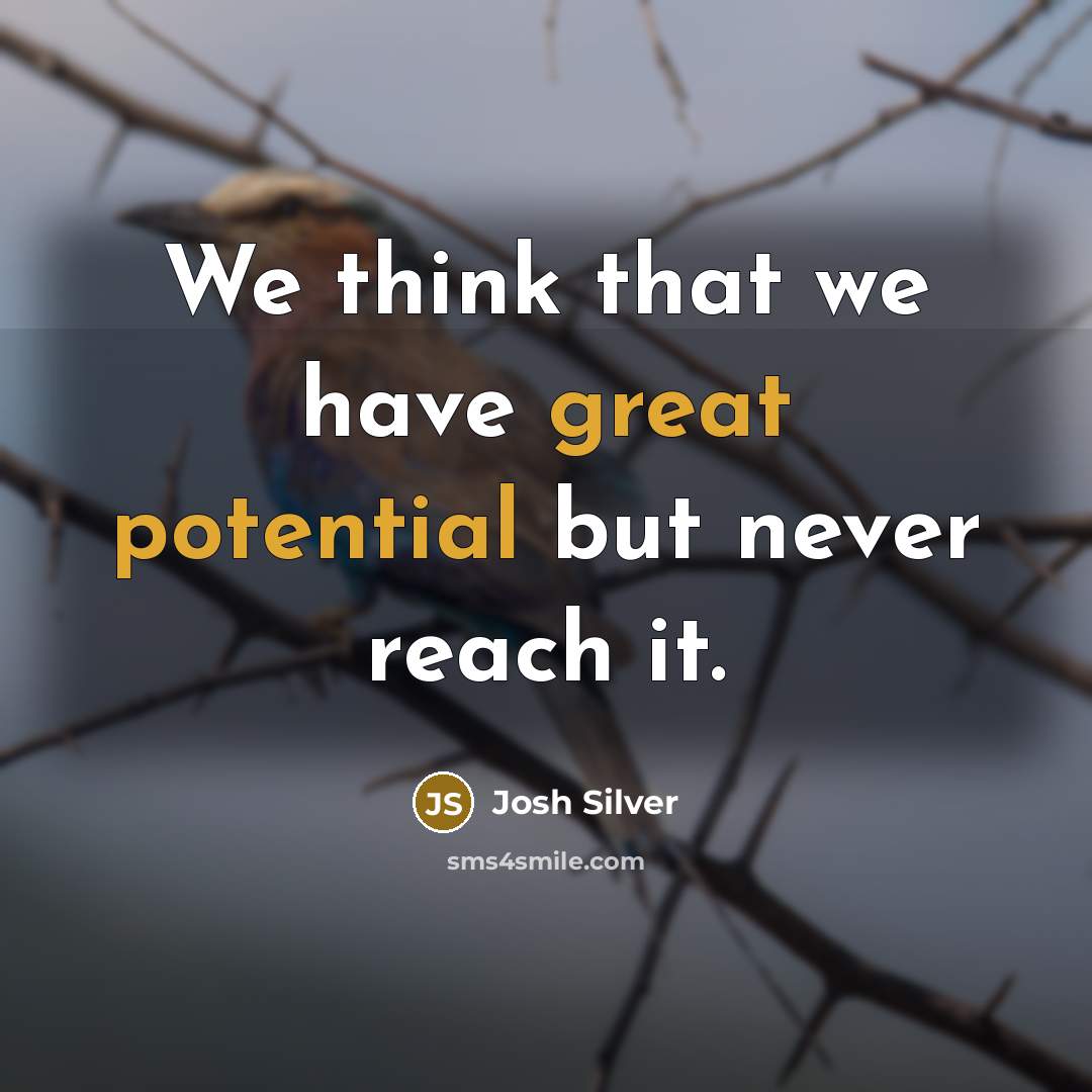 “We think that we have great potential but never reach it.” quote by Josh Silver