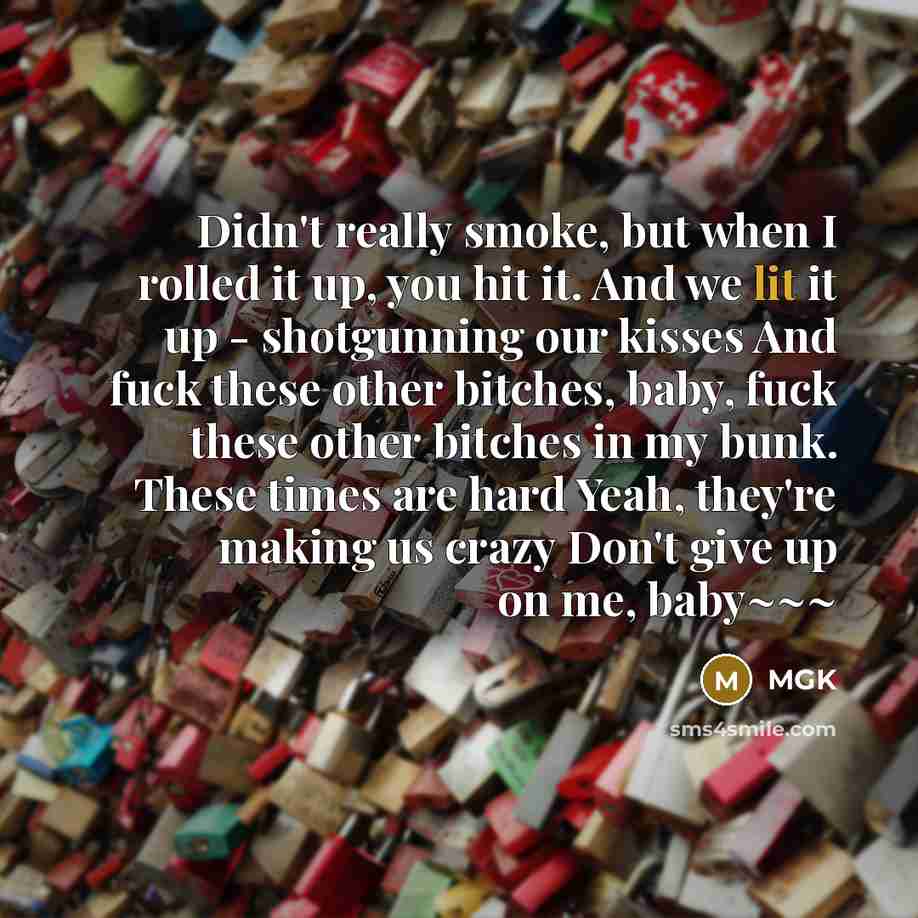 “Didn't really smoke, but when I rolled it up, you hit it. And we lit it up - shotgunning our kisses And fuck these other bitches, baby, fuck these other bitches in my bunk. These times are hard Yeah, they're making us crazy Don't give up on me, baby~~~” quote by MGK