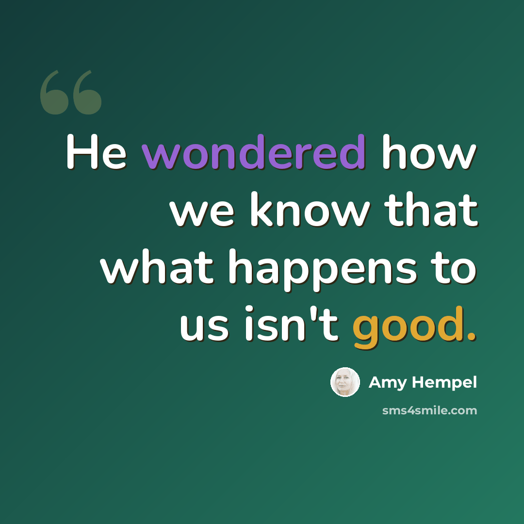 “He wondered how we know that what happens to us isn't good.” quote by Amy Hempel