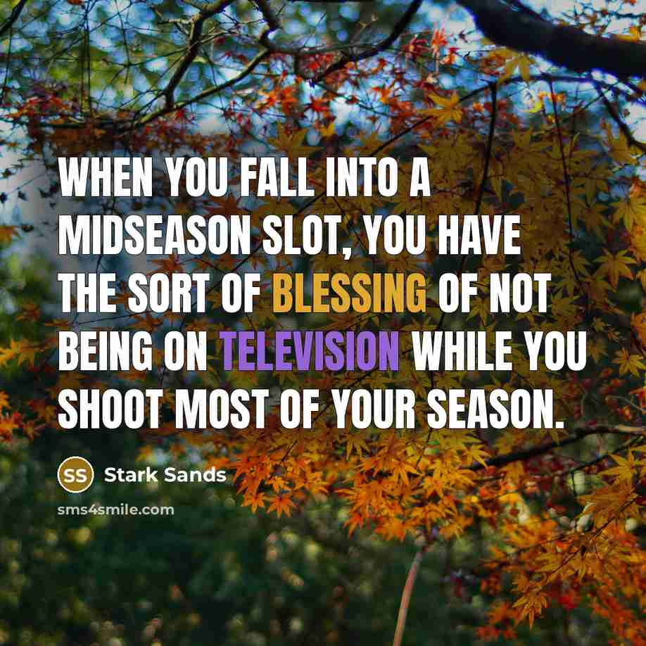 “When you fall into a midseason slot, you have the sort of blessing of not being on television while you shoot most of your season.” quote by Stark Sands