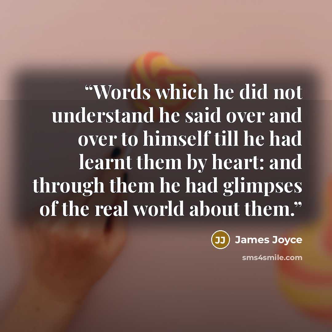 “Words which he did not understand he said over and over to himself till he had learnt them by heart: and through them he had glimpses of the real world about them.” quote by James Joyce