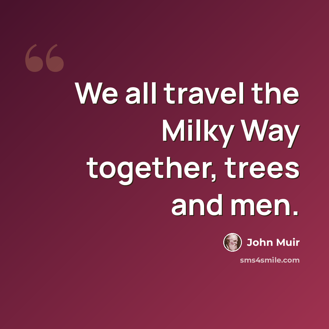 “We all travel the Milky Way together, trees and men.” quote by John Muir