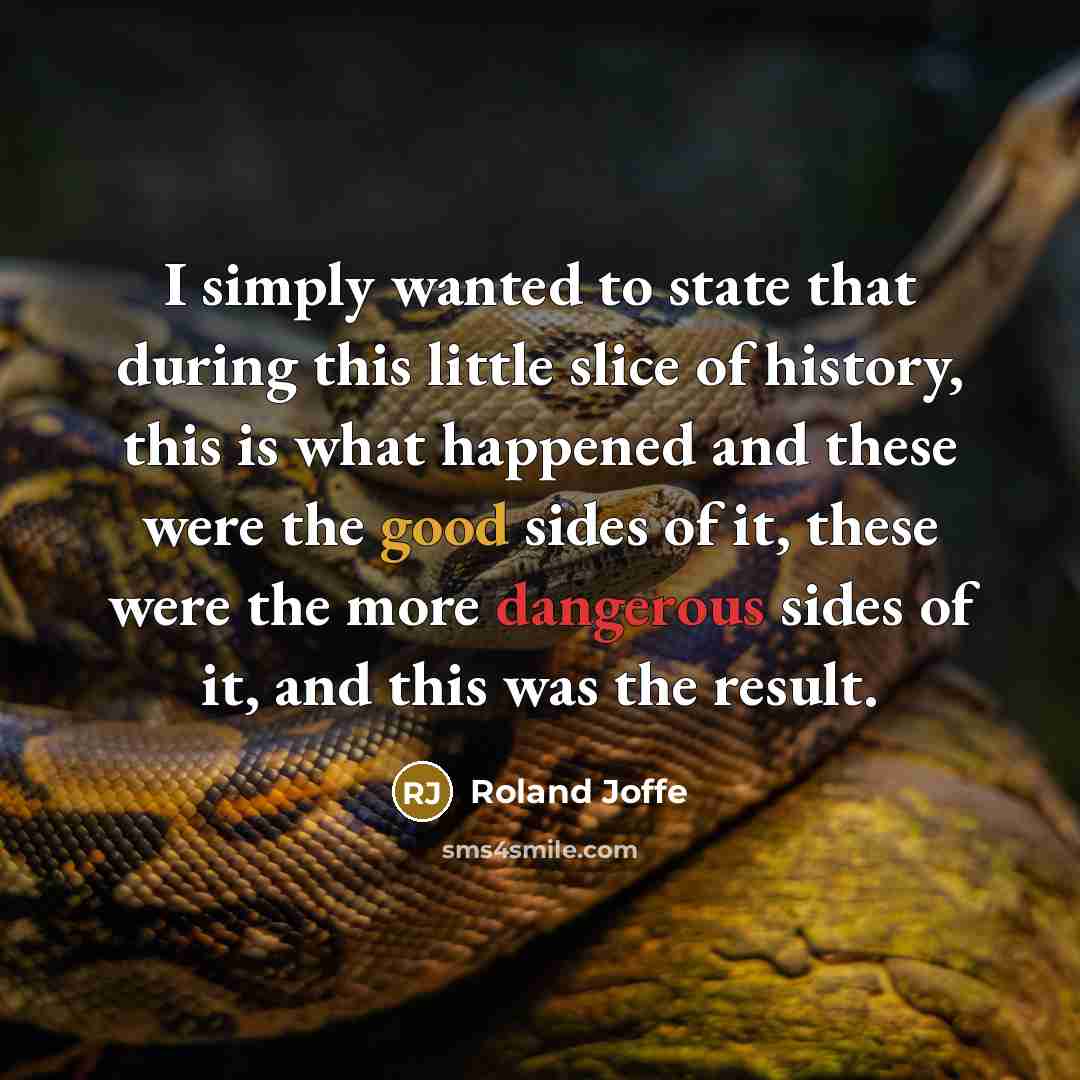 “I simply wanted to state that during this little slice of history, this is what happened and these were the good sides of it, these were the more dangerous sides of it, and this was the result.” quote by Roland Joffe