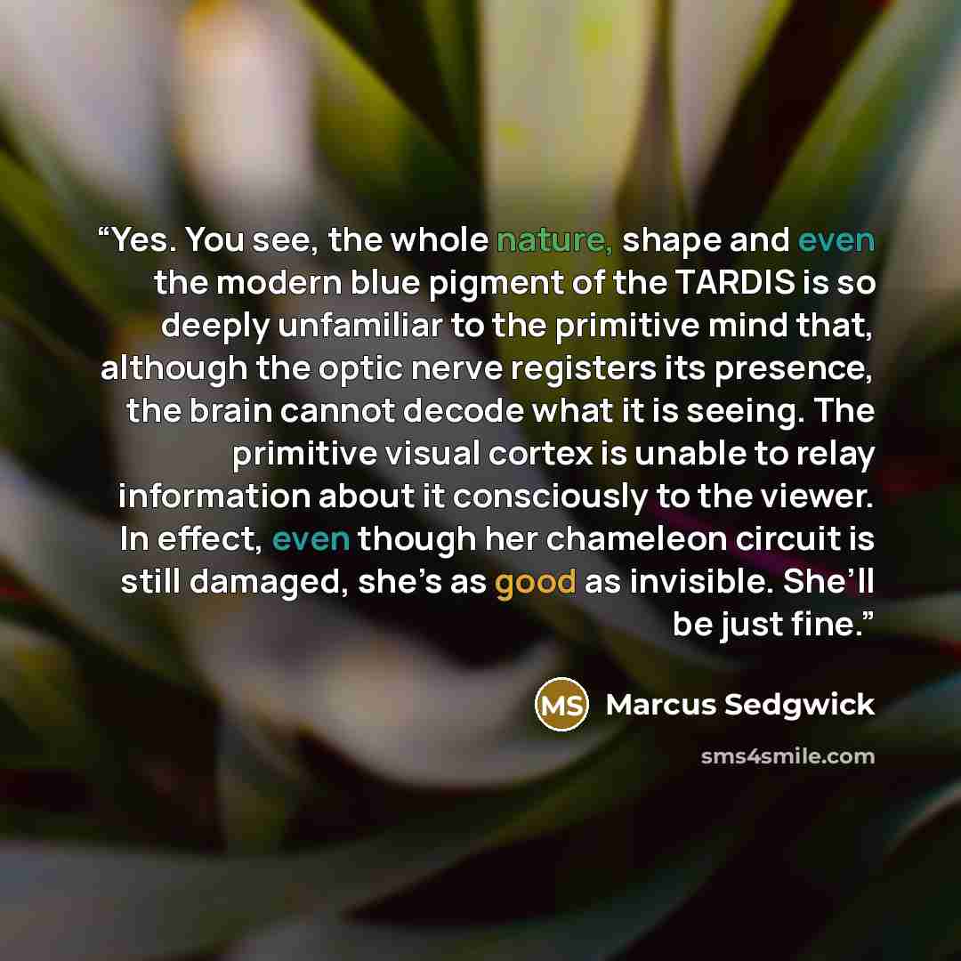 “Yes. You see, the whole nature, shape and even the modern blue pigment of the TARDIS is so deeply unfamiliar to the primitive mind that, although the optic nerve registers its presence, the brain cannot decode what it is seeing. The primitive visual cortex is unable to relay information about it…” quote by Marcus Sedgwick