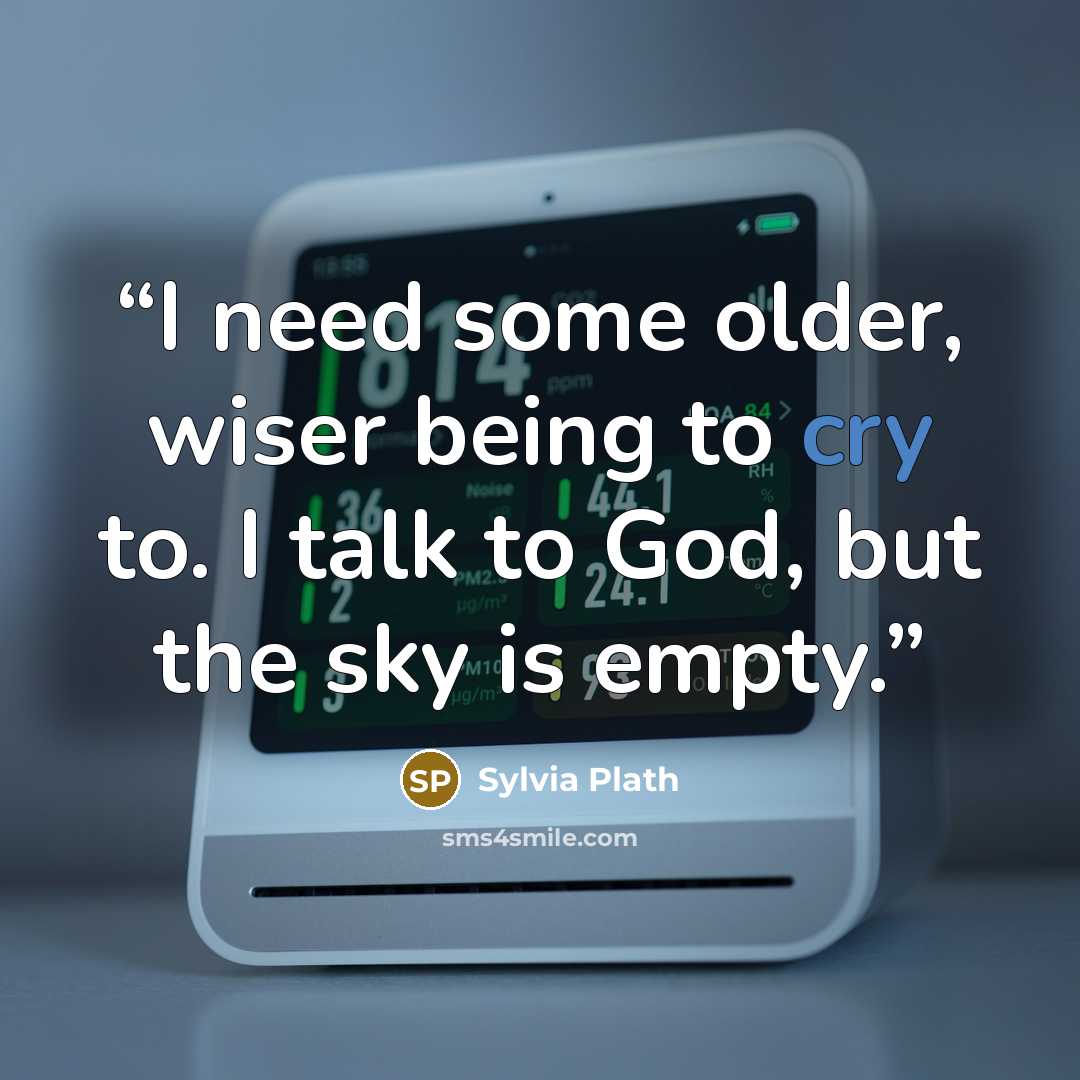“I need some older, wiser being to cry to. I talk to God, but the sky is empty.” quote by Sylvia Plath