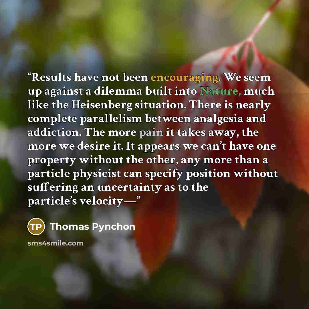 “Results have not been encouraging. We seem up against a dilemma built into Nature, much like the Heisenberg situation. There is nearly complete parallelism between analgesia and addiction. The more pain it takes away, the more we desire it. It appears we can’t have one property without the other…” quote by Thomas Pynchon