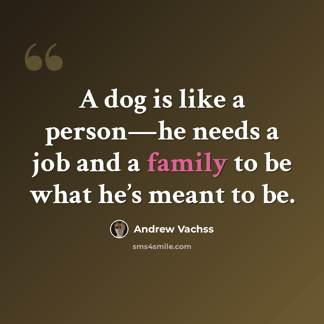 “A dog is like a person—he needs a job and a family to be what he’s meant to be.” quote by Andrew Vachss