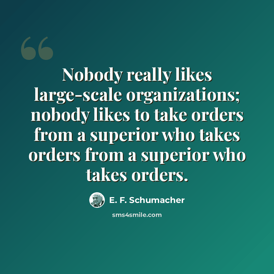“Nobody really likes large-scale organizations; nobody likes to take orders from a superior who takes orders from a superior who takes orders.” quote by E. F. Schumacher
