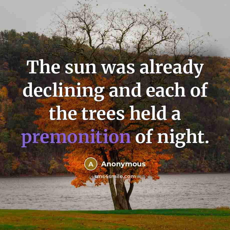 “The sun was already declining and each of the trees held a premonition of night.” quote by Anonymous