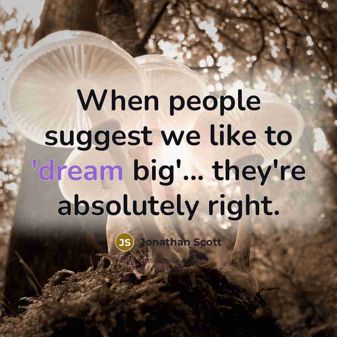 “When people suggest we like to 'dream big'... they're absolutely right.” quote by Jonathan Scott
