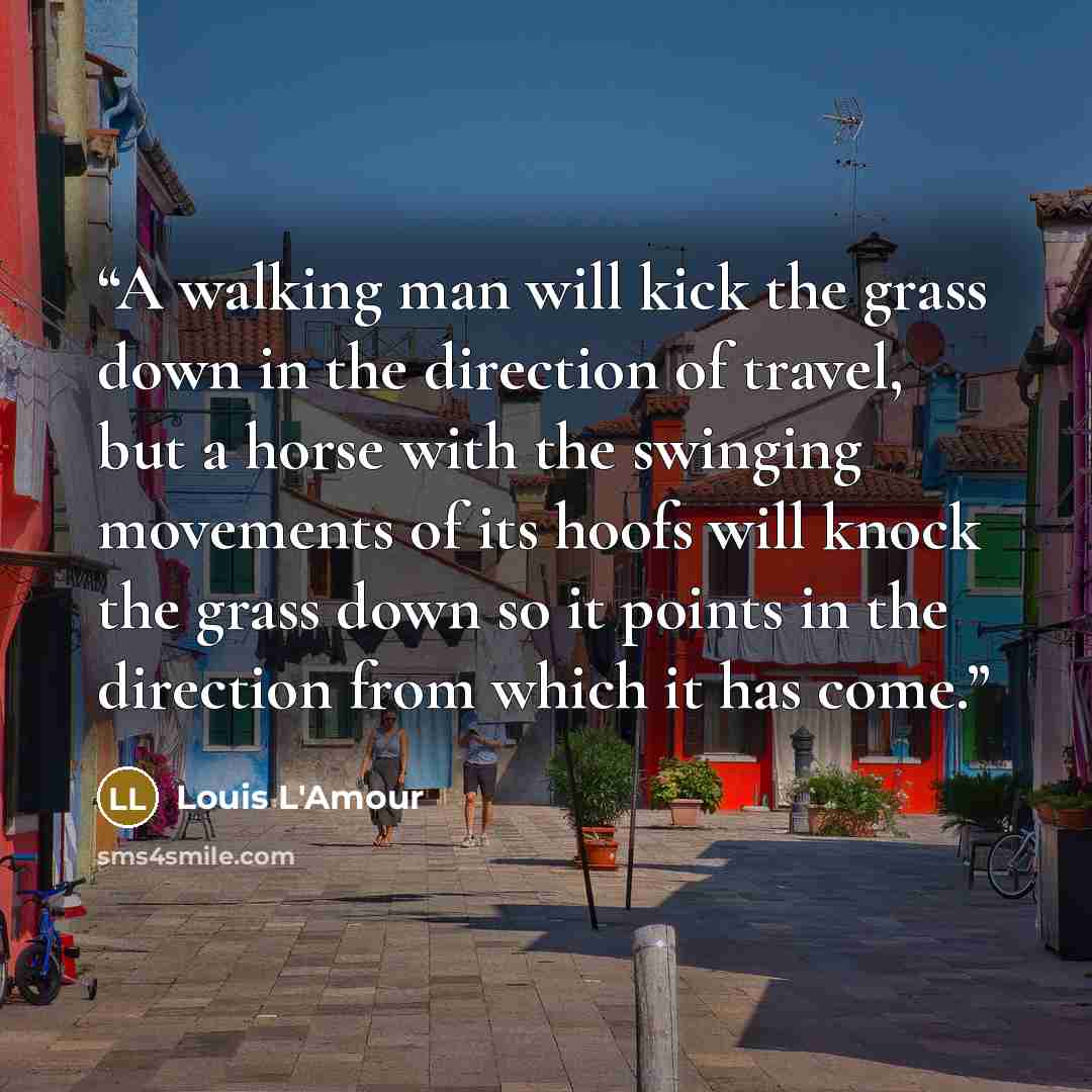 “A walking man will kick the grass down in the direction of travel, but a horse with the swinging movements of its hoofs will knock the grass down so it points in the direction from which it has come.” quote by Louis L'Amour