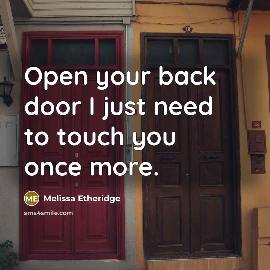 “Open your back door I just need to touch you once more.” quote by Melissa Etheridge