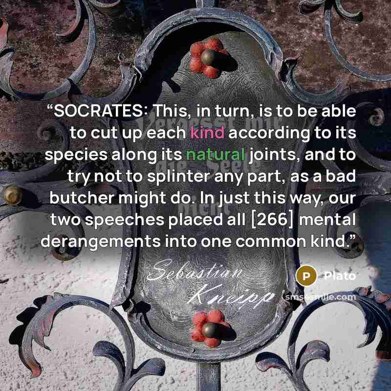 “SOCRATES: This, in turn, is to be able to cut up each kind according to its species along its natural joints, and to try not to splinter any part, as a bad butcher might do. In just this way, our two speeches placed all [266] mental derangements into one common kind.” quote by Plato
