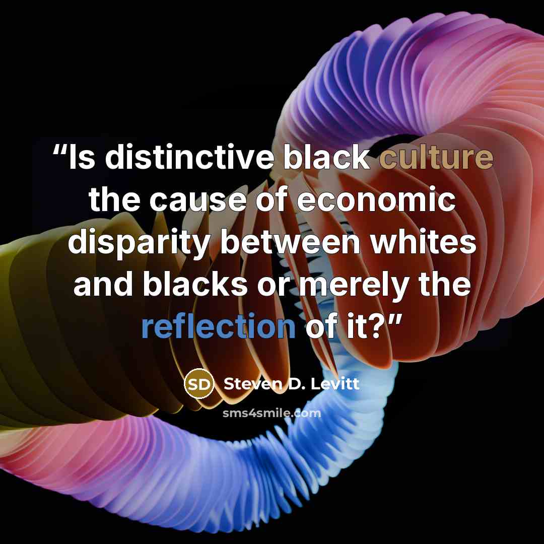 “Is distinctive black culture the cause of economic disparity between whites and blacks or merely the reflection of it?” quote by Steven D. Levitt
