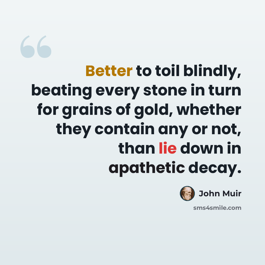 “Better to toil blindly, beating every stone in turn for grains of gold, whether they contain any or not, than lie down in apathetic decay.” quote by John Muir