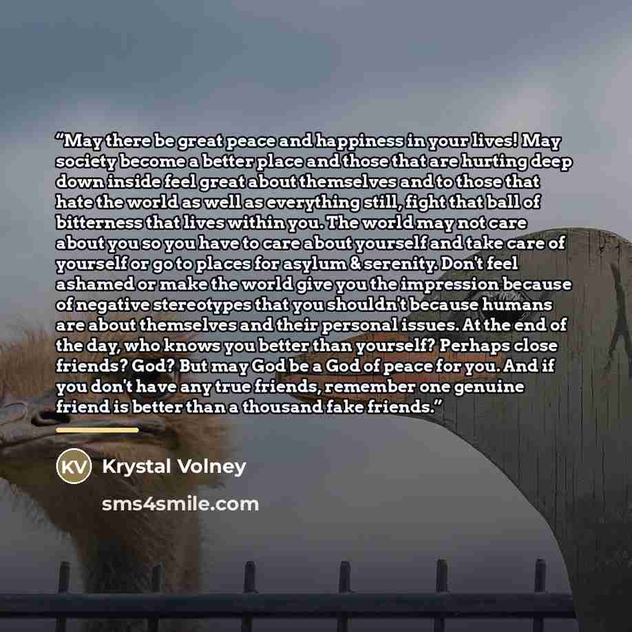 “May there be great peace and happiness in your lives! May society become a better place and those that are hurting deep down inside feel great about themselves and to those that hate the world as well as everything still, fight that ball of bitterness that lives within you. The world may not care…” quote by Krystal Volney