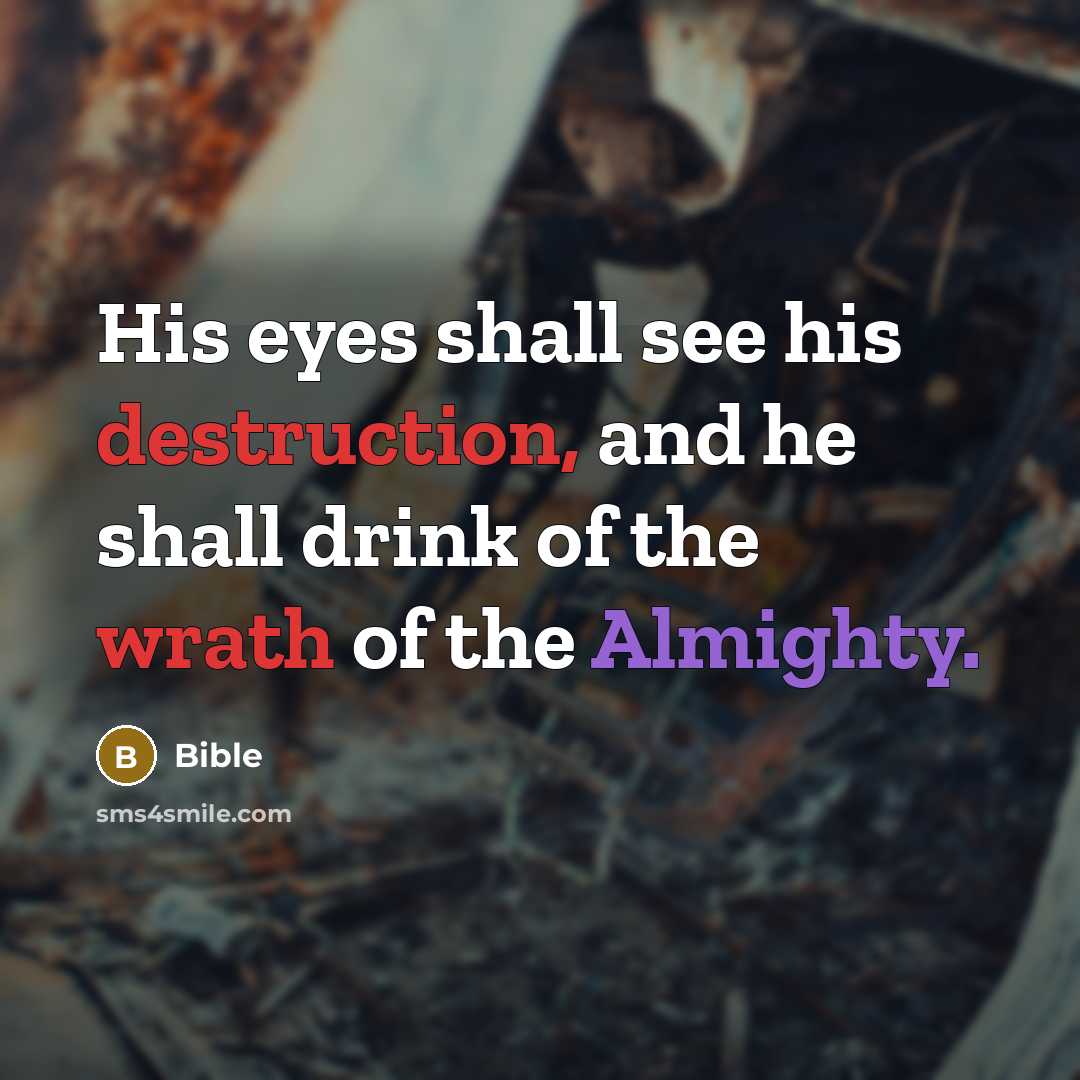 “His eyes shall see his destruction, and he shall drink of the wrath of the Almighty.” quote by Bible