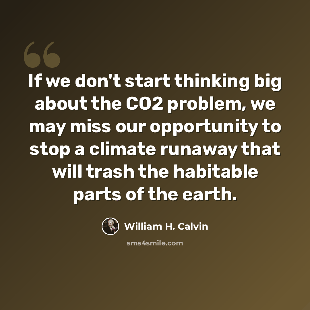 “If we don't start thinking big about the CO2 problem, we may miss our opportunity to stop a climate runaway that will trash the habitable parts of the earth.” quote by William H. Calvin