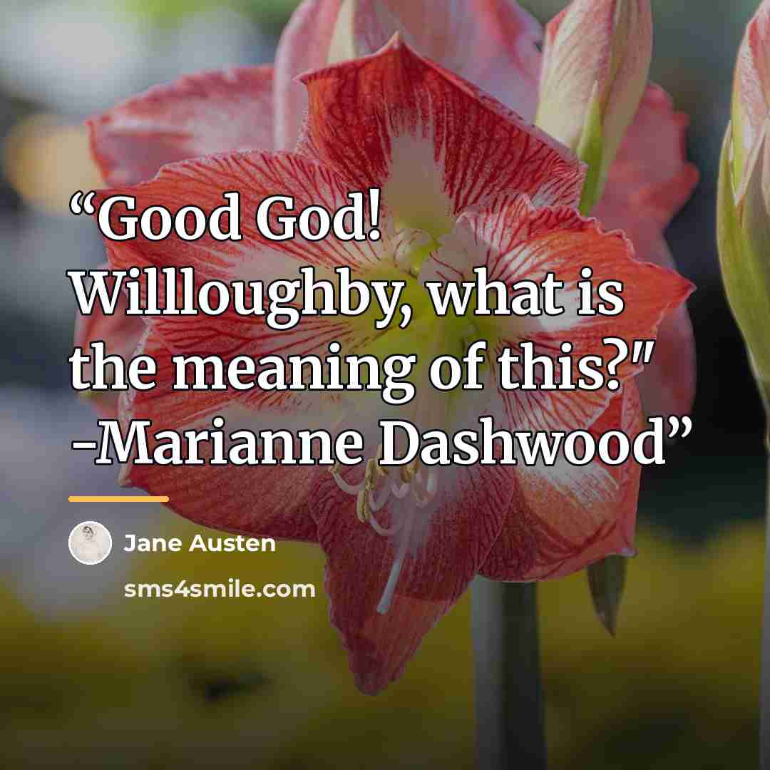 “Good God! Willloughby, what is the meaning of this?" -Marianne Dashwood” quote by Jane Austen