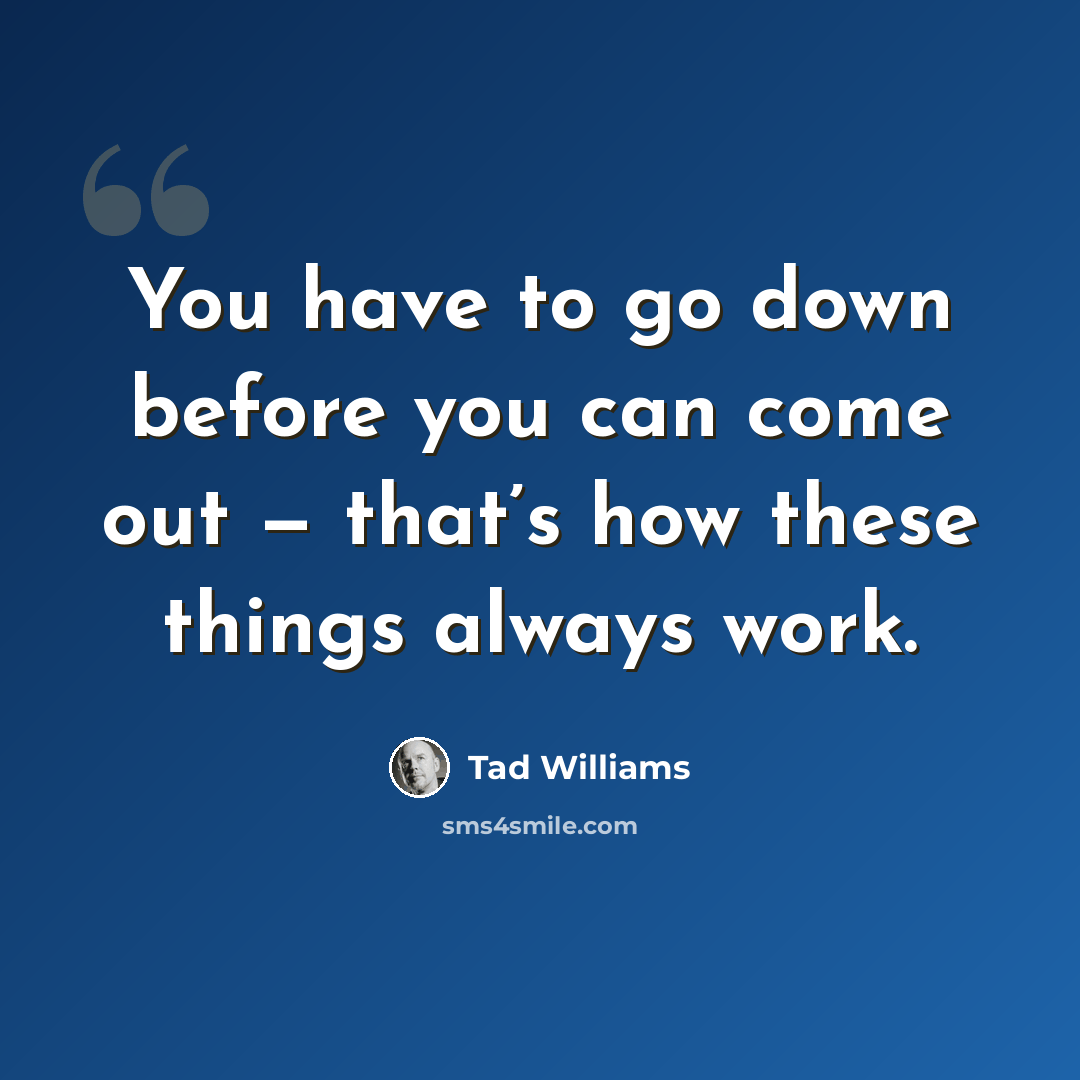 “You have to go down before you can come out — that’s how these things always work.” quote by Tad Williams