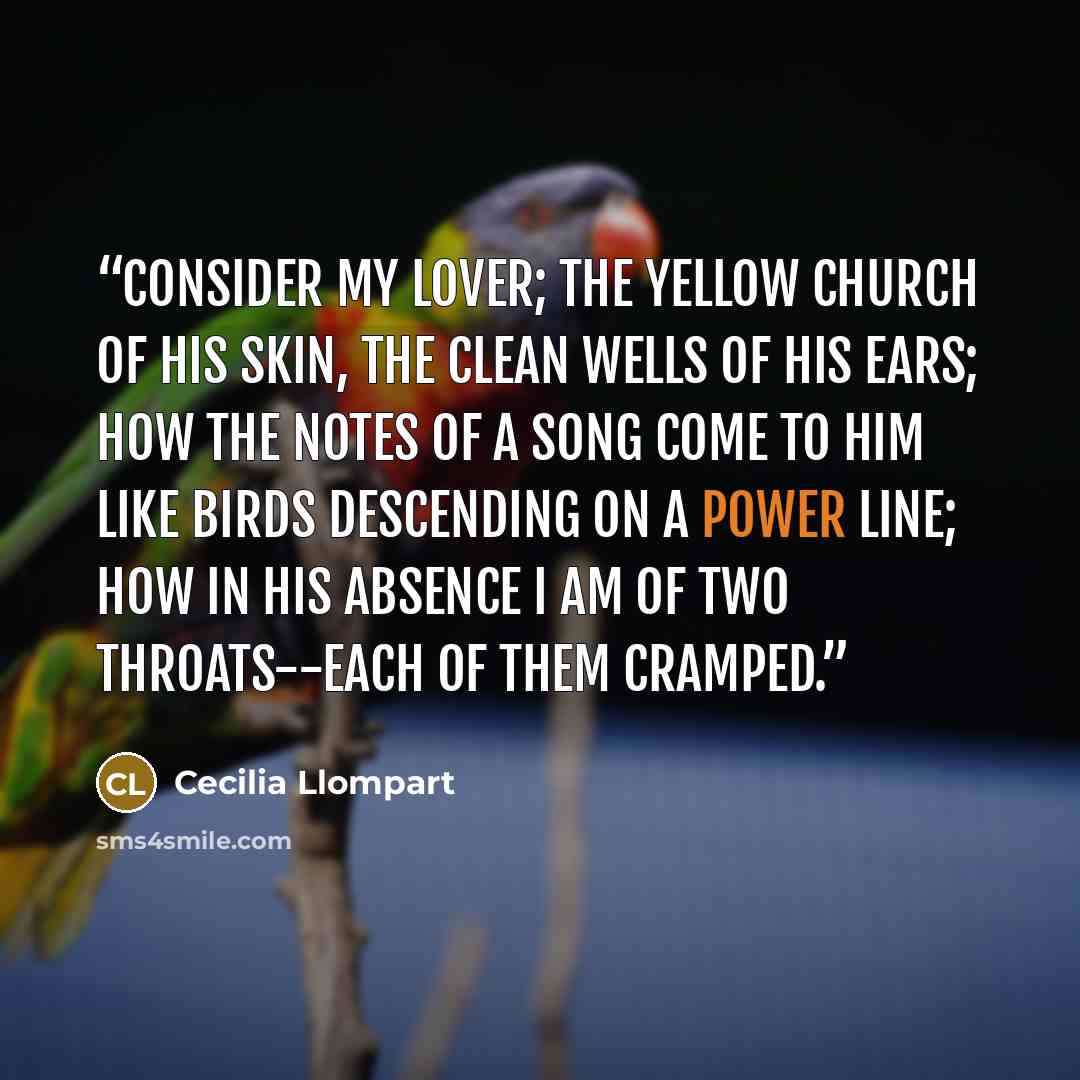“Consider my Lover; the yellow church of his skin, the clean wells of his ears; How the notes of a song come to him like birds descending on a power line; How in his absence I am of two throats--each of them cramped.” quote by Cecilia Llompart