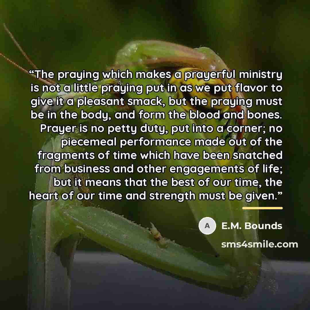 “The praying which makes a prayerful ministry is not a little praying put in as we put flavor to give it a pleasant smack, but the praying must be in the body, and form the blood and bones. Prayer is no petty duty, put into a corner; no piecemeal performance made out of the fragments of time which…” quote by E.M. Bounds
