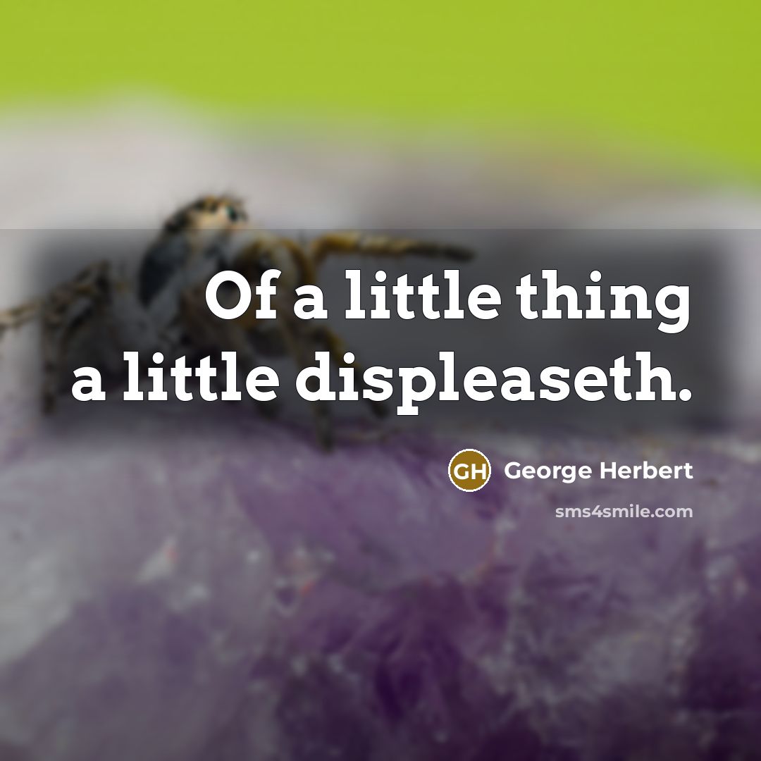“Of a little thing a little displeaseth.” quote by George Herbert