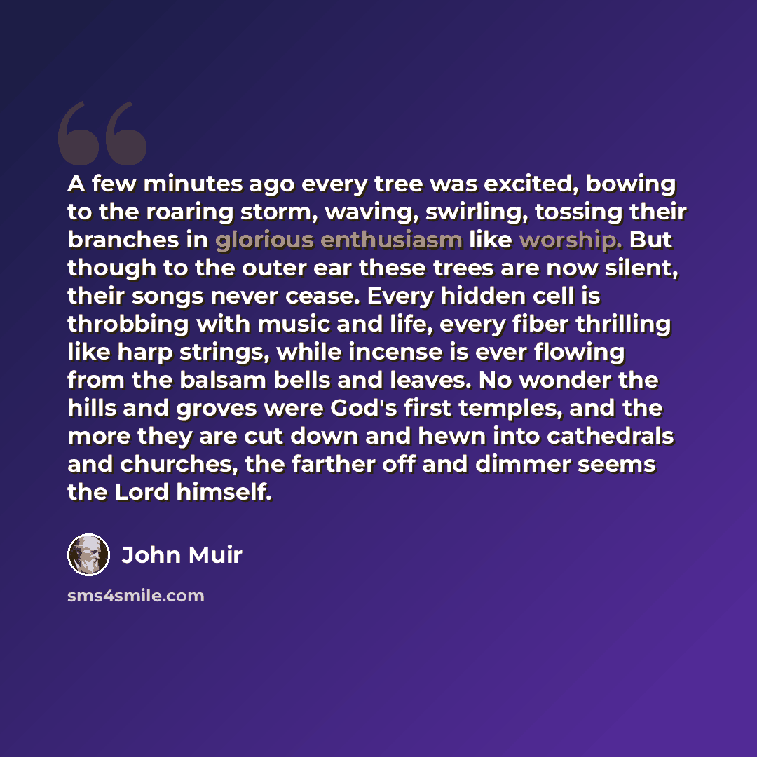 “A few minutes ago every tree was excited, bowing to the roaring storm, waving, swirling, tossing their branches in glorious enthusiasm like worship. But though to the outer ear these trees are now silent, their songs never cease. Every hidden cell is throbbing with music and life, every fiber…” quote by John Muir