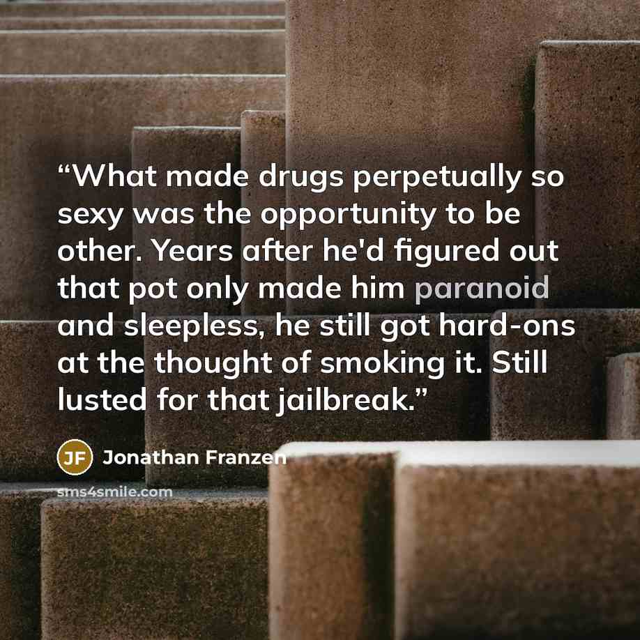 “What made drugs perpetually so sexy was the opportunity to be other. Years after he'd figured out that pot only made him paranoid and sleepless, he still got hard-ons at the thought of smoking it. Still lusted for that jailbreak.” quote by Jonathan Franzen