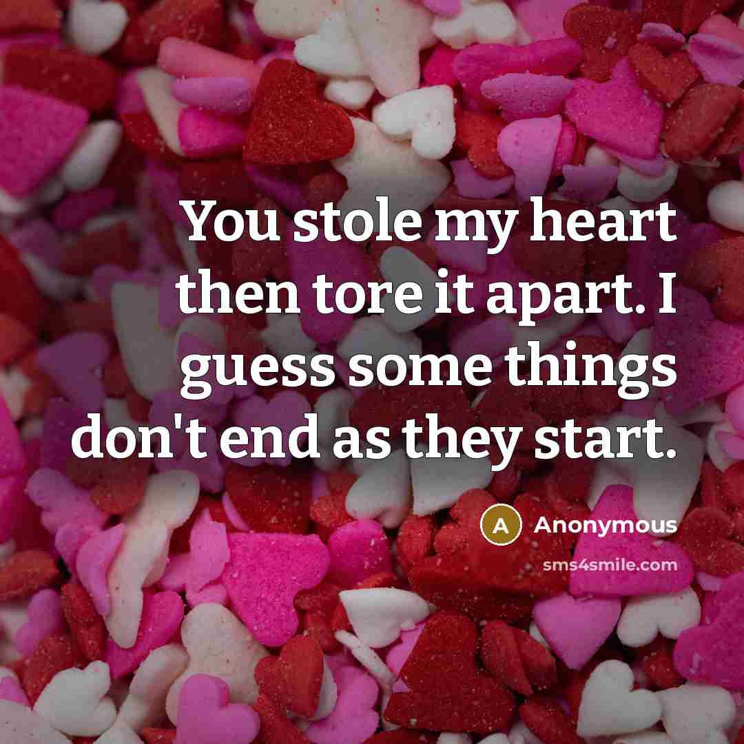 “You stole my heart then tore it apart. I guess some things don't end as they start.” quote by Anonymous