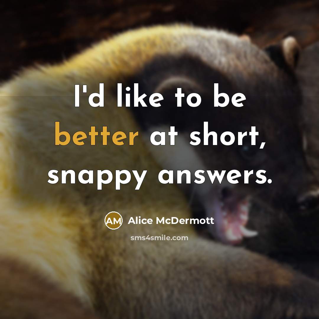 “I'd like to be better at short, snappy answers.” quote by Alice McDermott