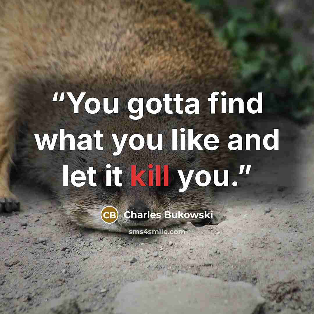 “You gotta find what you like and let it kill you.” quote by Charles Bukowski