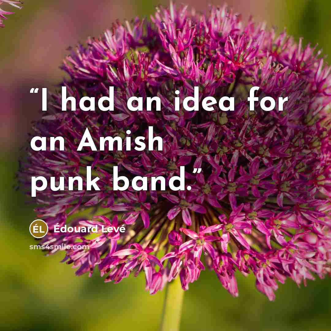 “I had an idea for an Amish punk band.” quote by Édouard Levé