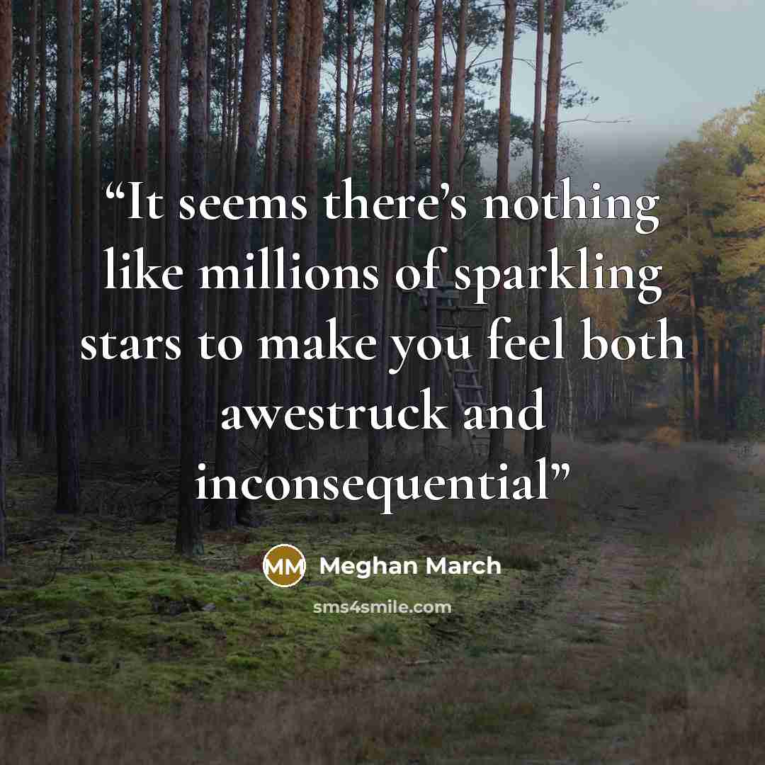 “It seems there’s nothing like millions of sparkling stars to make you feel both awestruck and inconsequential” quote by Meghan March
