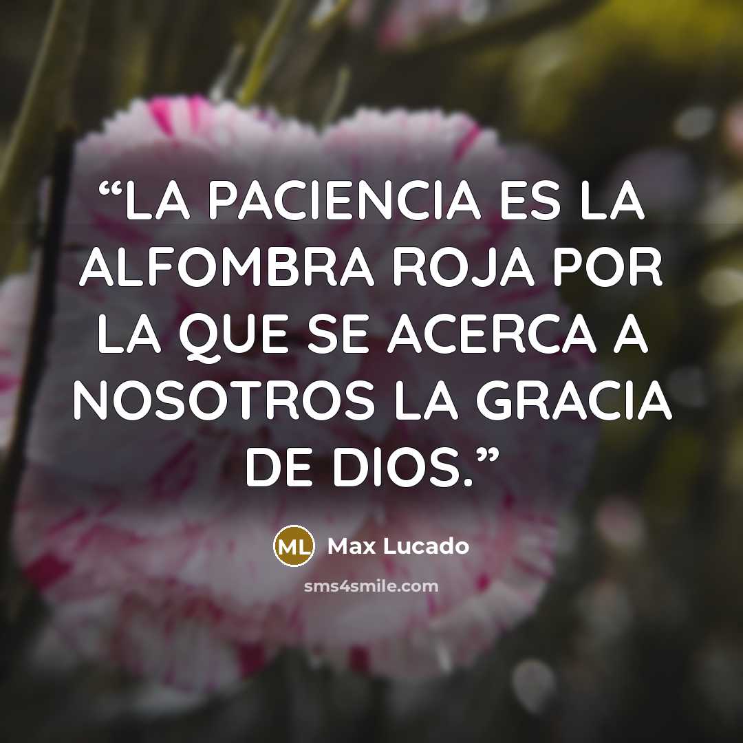“LA PACIENCIA ES LA ALFOMBRA ROJA POR LA QUE SE ACERCA A NOSOTROS LA GRACIA DE DIOS.” quote by Max Lucado