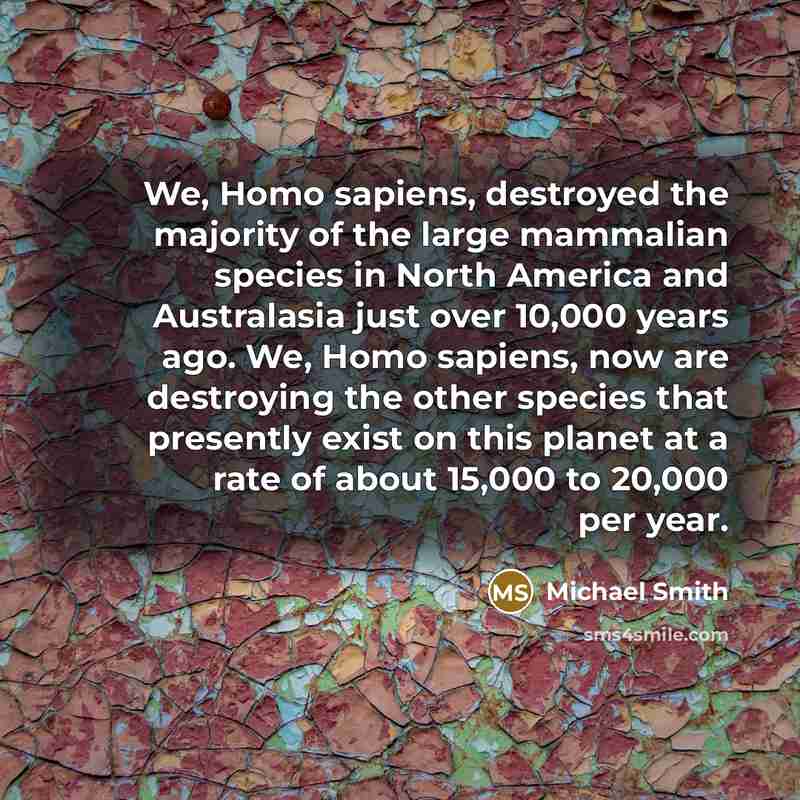 “We, Homo sapiens, destroyed the majority of the large mammalian species in North America and Australasia just over 10,000 years ago. We, Homo sapiens, now are destroying the other species that presently exist on this planet at a rate of about 15,000 to 20,000 per year.” quote by Michael Smith