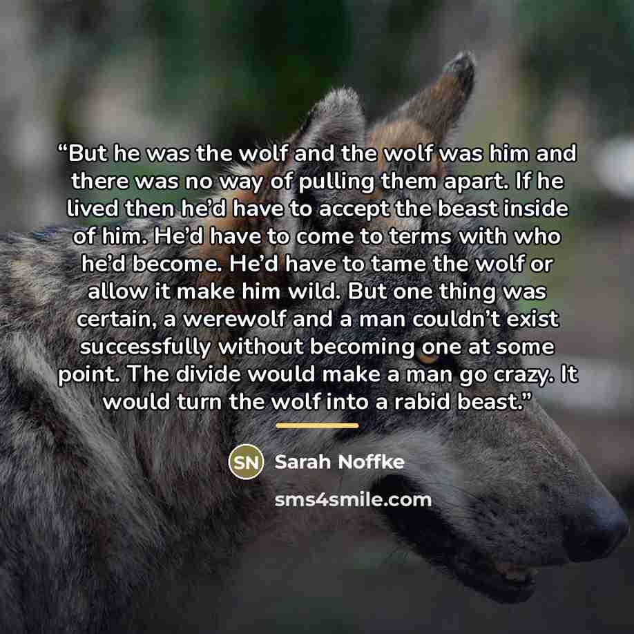 “But he was the wolf and the wolf was him and there was no way of pulling them apart. If he lived then he’d have to accept the beast inside of him. He’d have to come to terms with who he’d become. He’d have to tame the wolf or allow it make him wild. But one thing was certain, a werewolf and a man…” quote by Sarah Noffke