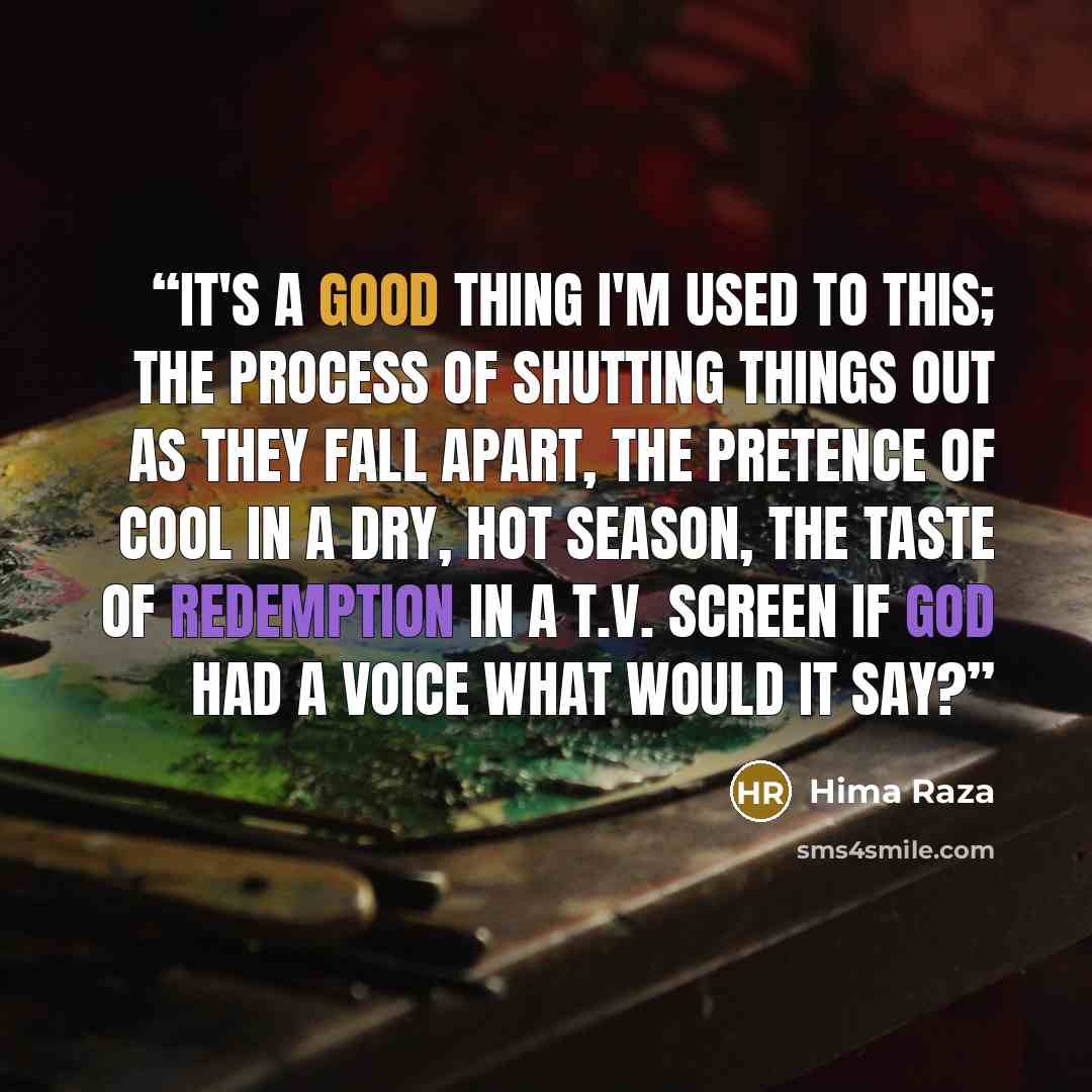 “it's a good thing I'm used to this; the process of shutting things out as they fall apart, the pretence of cool in a dry, hot season, the taste of redemption in a t.v. screen if God had a voice what would it say?” quote by Hima Raza