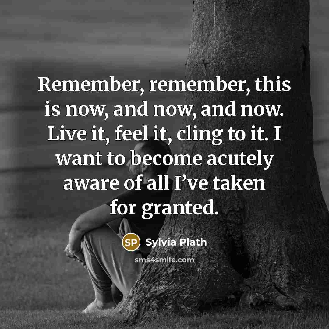 “Remember, remember, this is now, and now, and now. Live it, feel it, cling to it. I want to become acutely aware of all I’ve taken for granted.” quote by Sylvia Plath