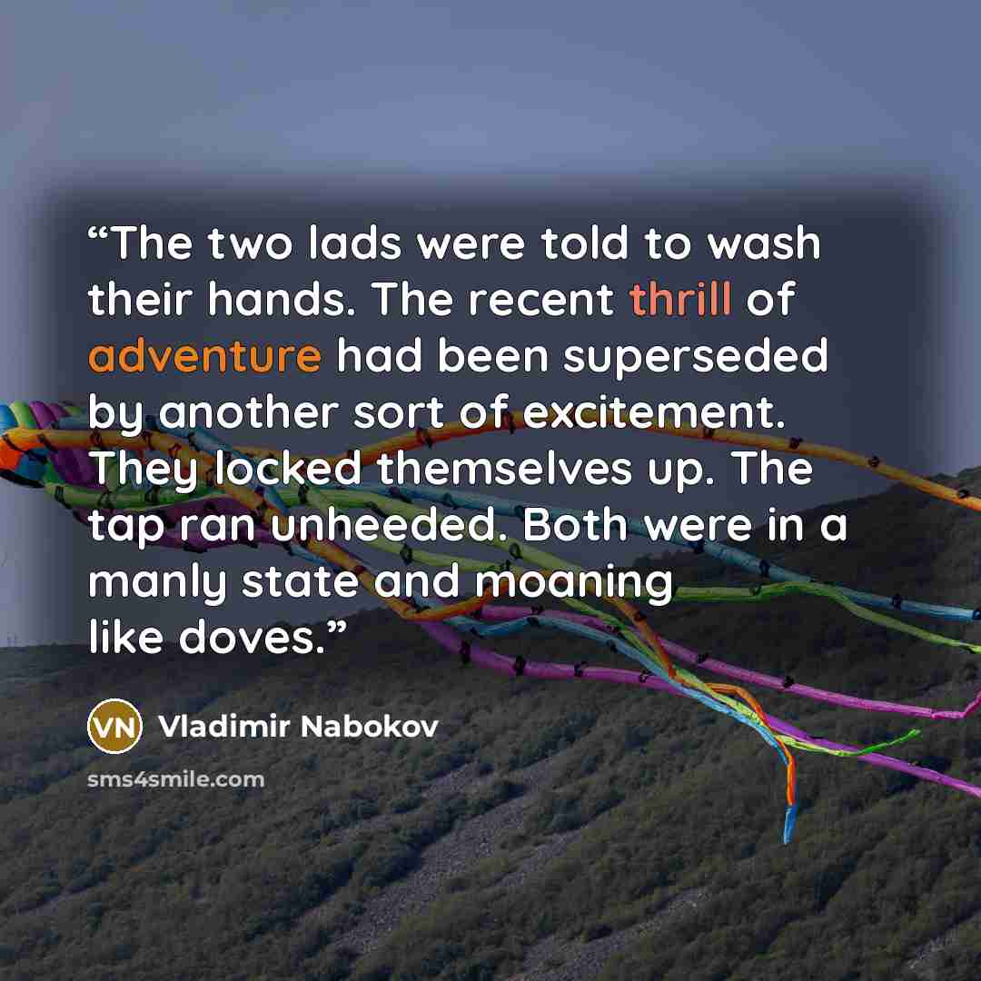 “The two lads were told to wash their hands. The recent thrill of adventure had been superseded by another sort of excitement. They locked themselves up. The tap ran unheeded. Both were in a manly state and moaning like doves.” quote by Vladimir Nabokov