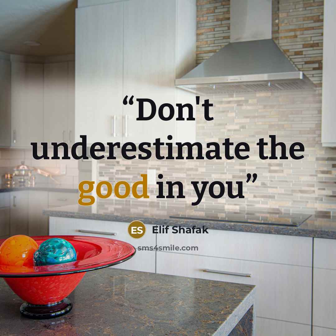 “Don't underestimate the good in you” quote by Elif Shafak