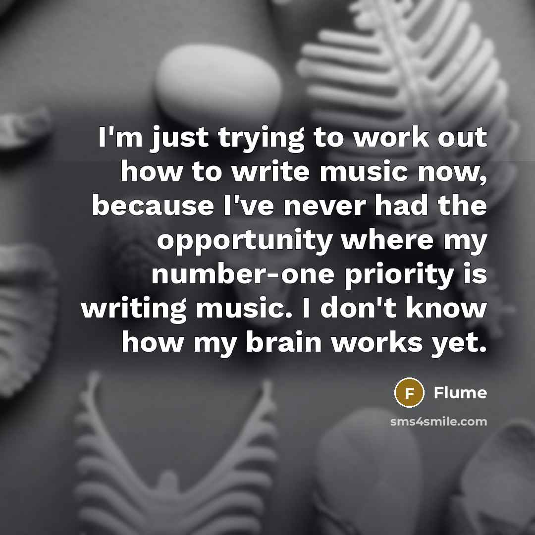 “I'm just trying to work out how to write music now, because I've never had the opportunity where my number-one priority is writing music. I don't know how my brain works yet.” quote by Flume